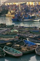 FAO © Guiseppe Bizzarri; El Jadida Port, Morocco