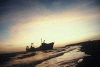 FAO © S. Garcia; Stranded industrial trawler. Mauritania