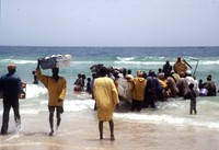 FAO © Ivo Balderi; Fishermen arriving with catch. Senegal