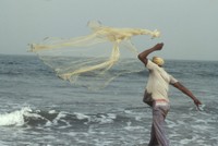 FAO © K. Boldt; Fisherman casts a net. Gambia