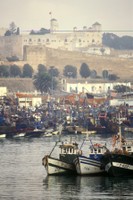 FAO © Guiseppe Bizzarri; El Jadida Port, Morocco